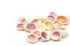 pink and yellow cockle shells